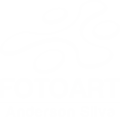 Logotipo de Anderson Carlos da Silva